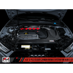 Sportauspuff AWE carbon Ansaugsystem Audi RS 3 / TT RS 2.5T